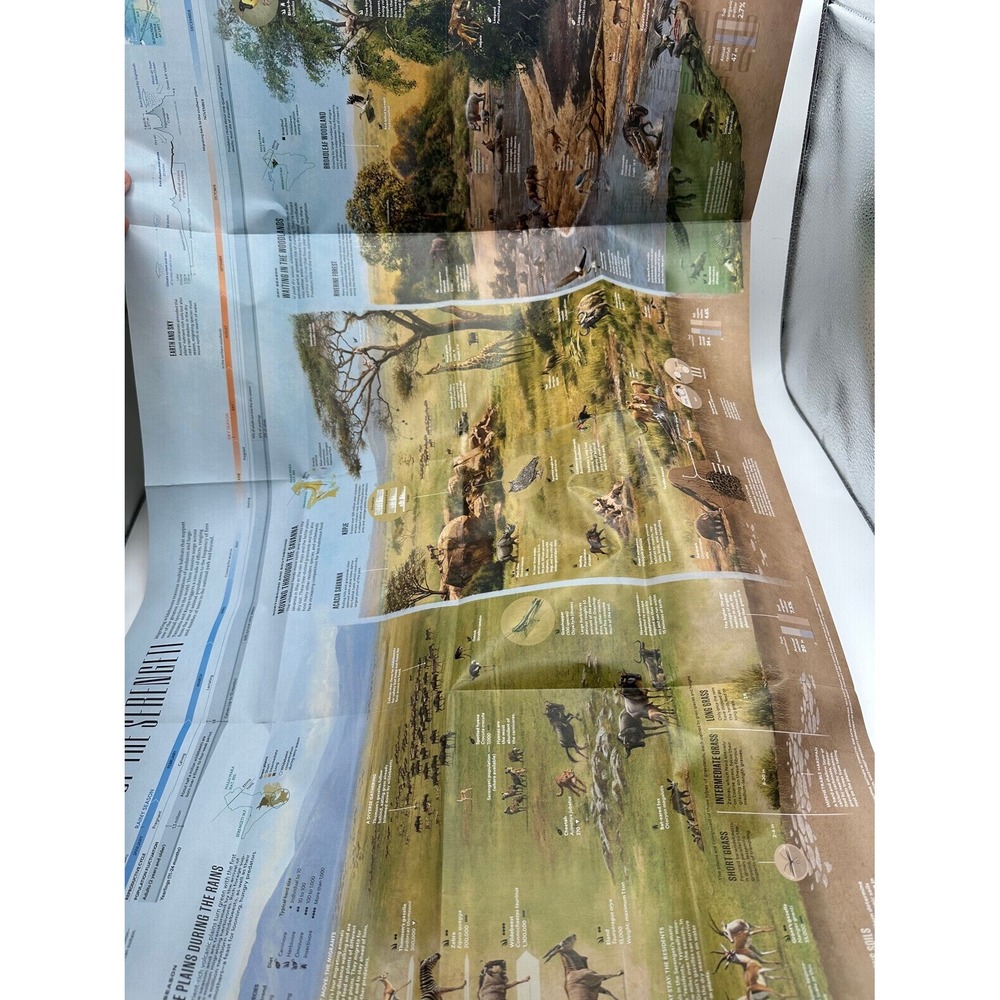 National Geographic Nature Conservation Bundle 4 Special Issues Posters - Picture 6 of 9